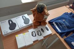 IMG_20240618_093102-Copy