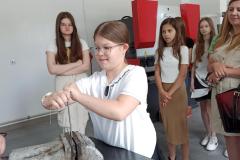 IMG_20240618_110118-Copy