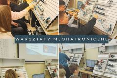 10.02.2026 Celiny, Dąbie, Trzebieszów - 10.02.26/4