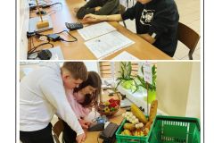 TECHNIK W AKCJI 17,19.03.2026 - 17.03.26 Technik w Akcji zajęcia ekonimiczne